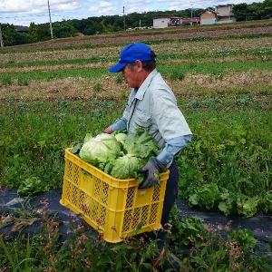 まっきぃおすすめワイン